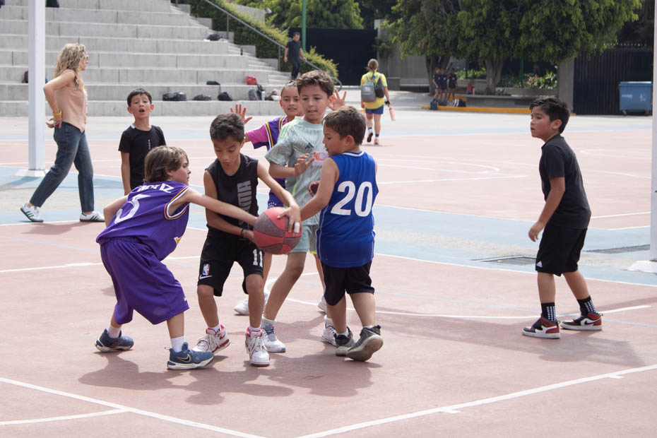 Ir a la Siguiente Foto