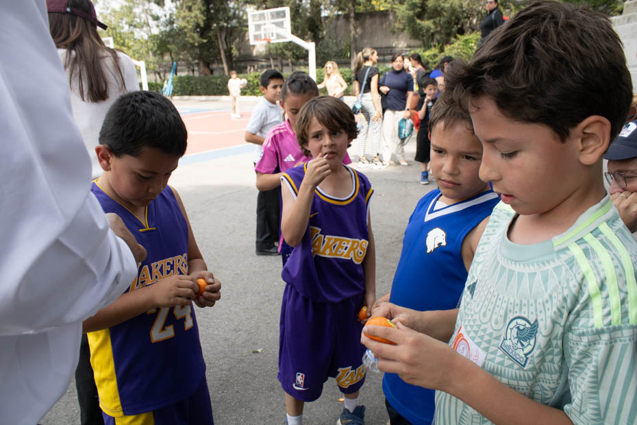 Ir a la Siguiente Foto