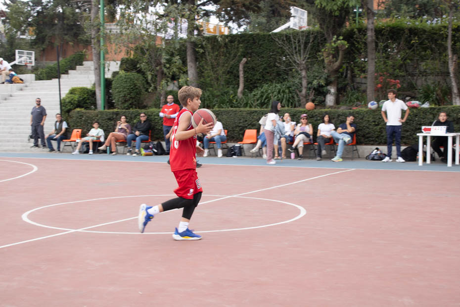 Ir a la Siguiente Foto