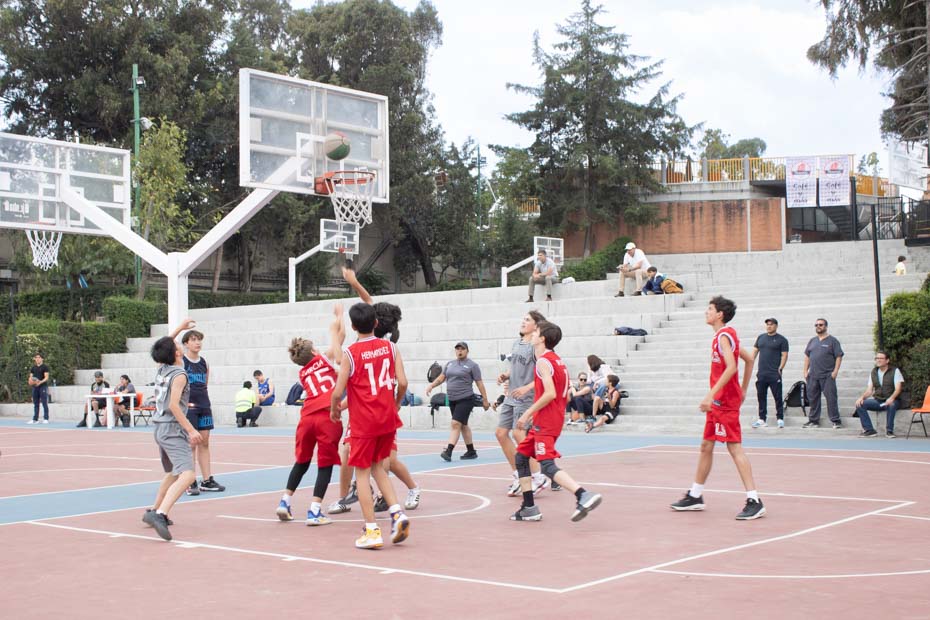 Ir a la Siguiente Foto