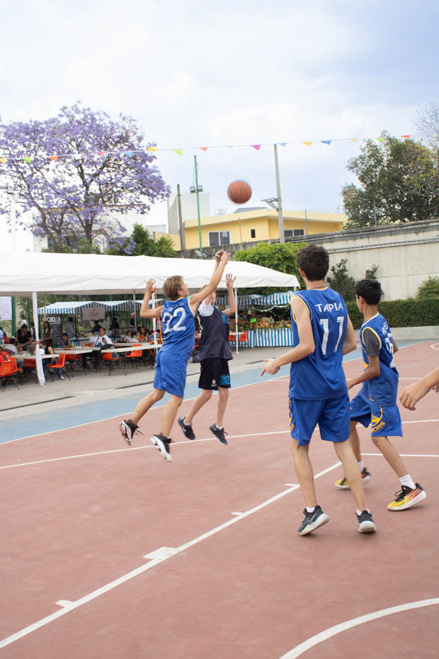 Ir a la Siguiente Foto