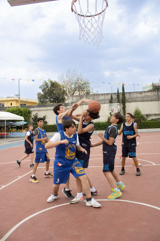 Ir a la Siguiente Foto