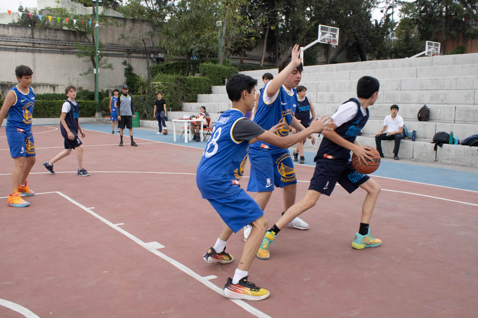 Ir a la Siguiente Foto