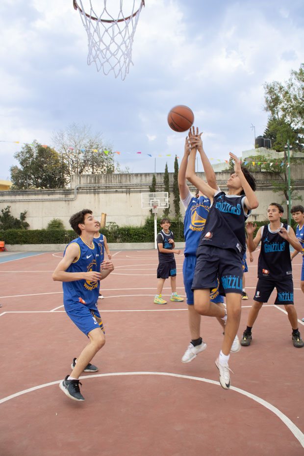 Ir a la Siguiente Foto