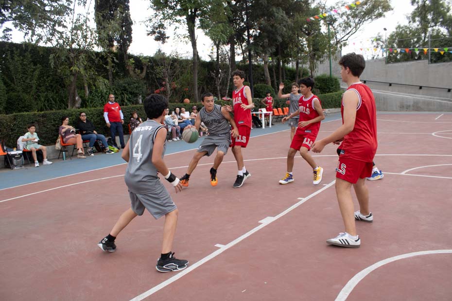 Ir a la Siguiente Foto