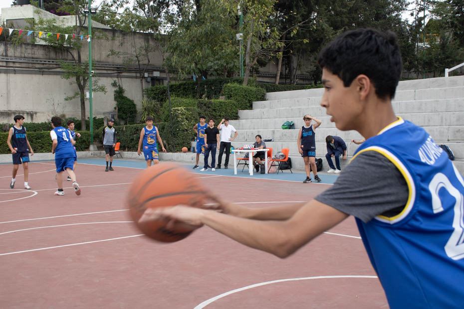 Ir a la Siguiente Foto