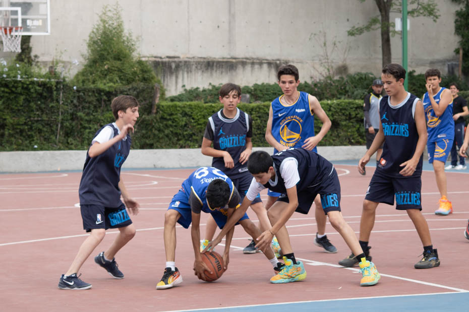 Ir a la Siguiente Foto