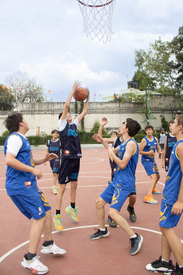 Ir a la Siguiente Foto