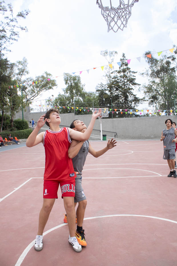 Ir a la Siguiente Foto