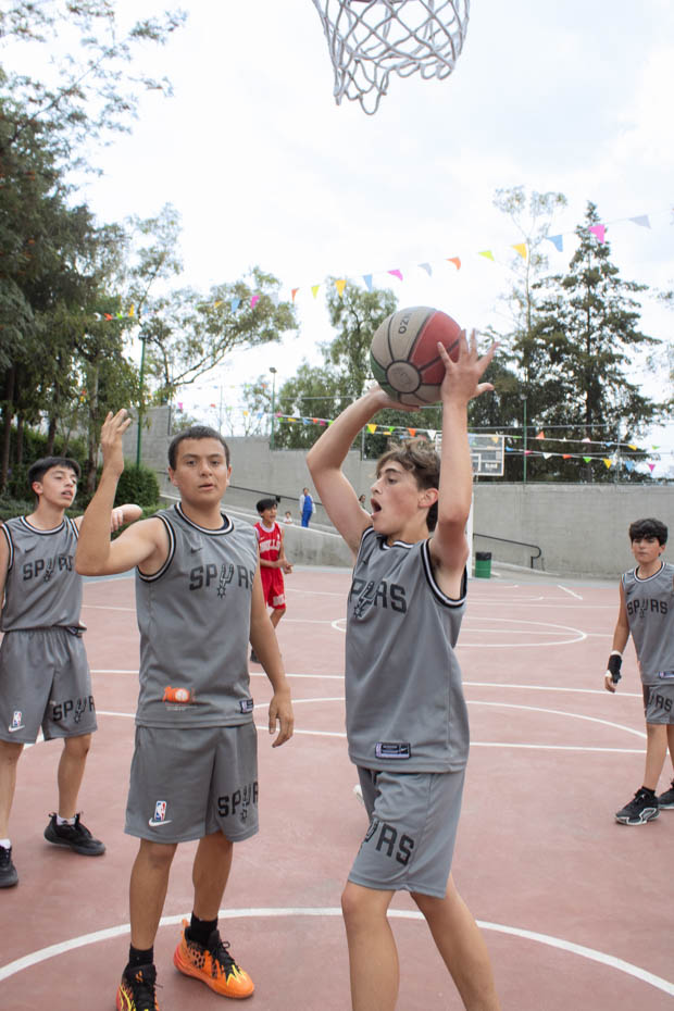 Ir a la Siguiente Foto