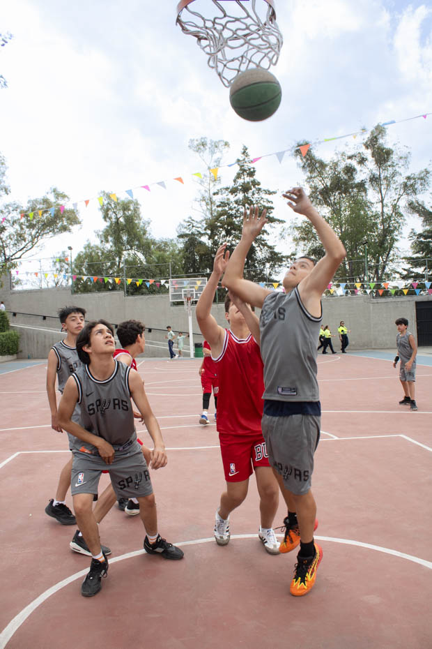 Ir a la Siguiente Foto