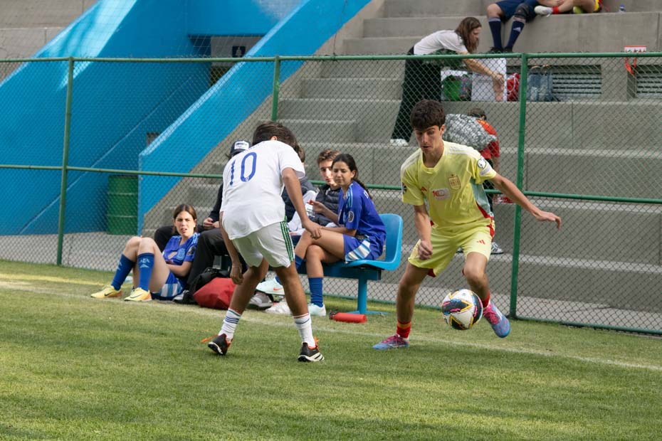 Ir a la Siguiente Foto