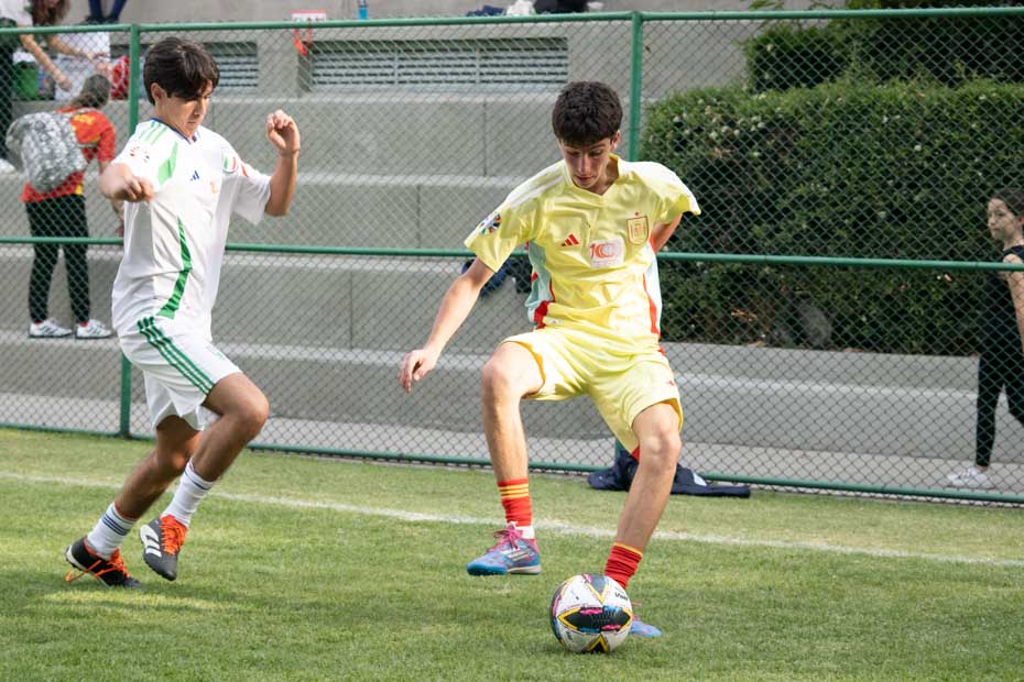 Ir a la Siguiente Foto