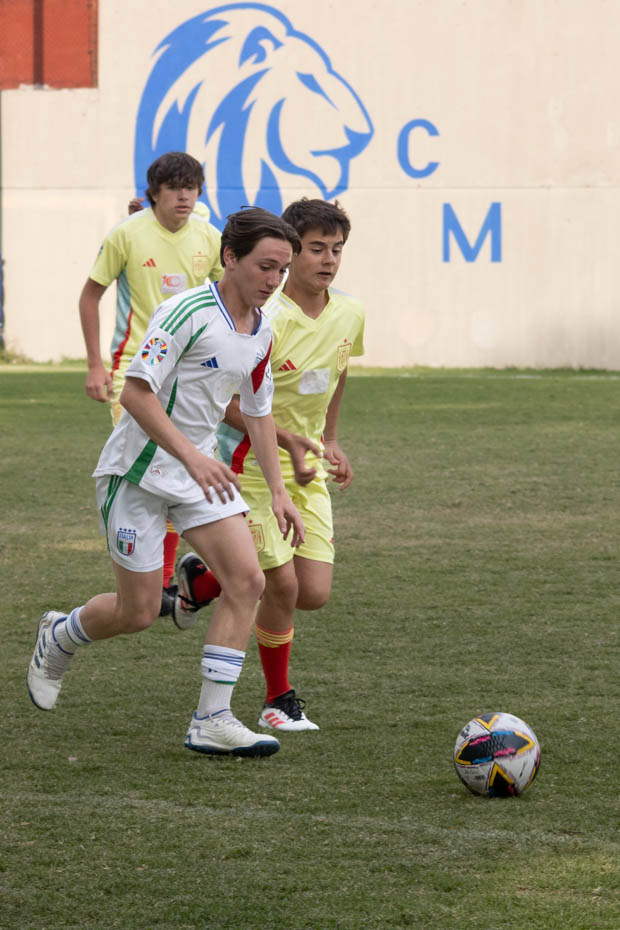 Ir a la Siguiente Foto