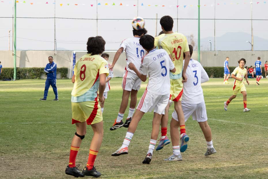 Ir a la Siguiente Foto