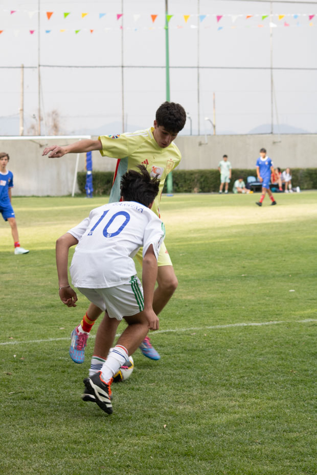 Ir a la Siguiente Foto