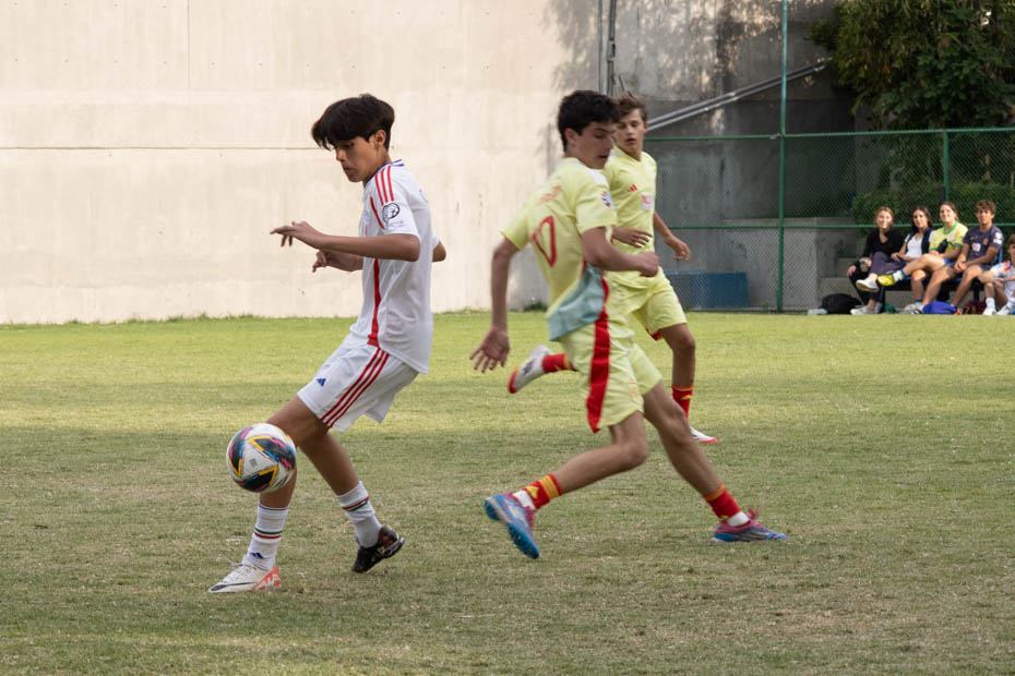 Ir a la Siguiente Foto