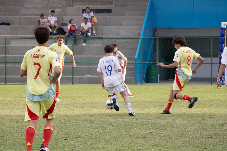 Ir a la Siguiente Foto