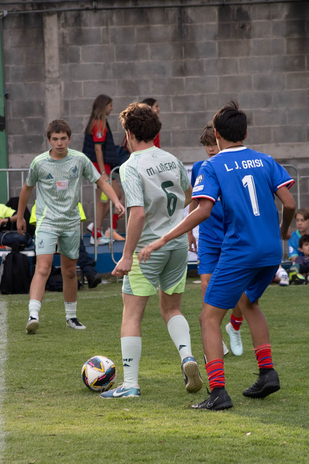 Ir a la Siguiente Foto