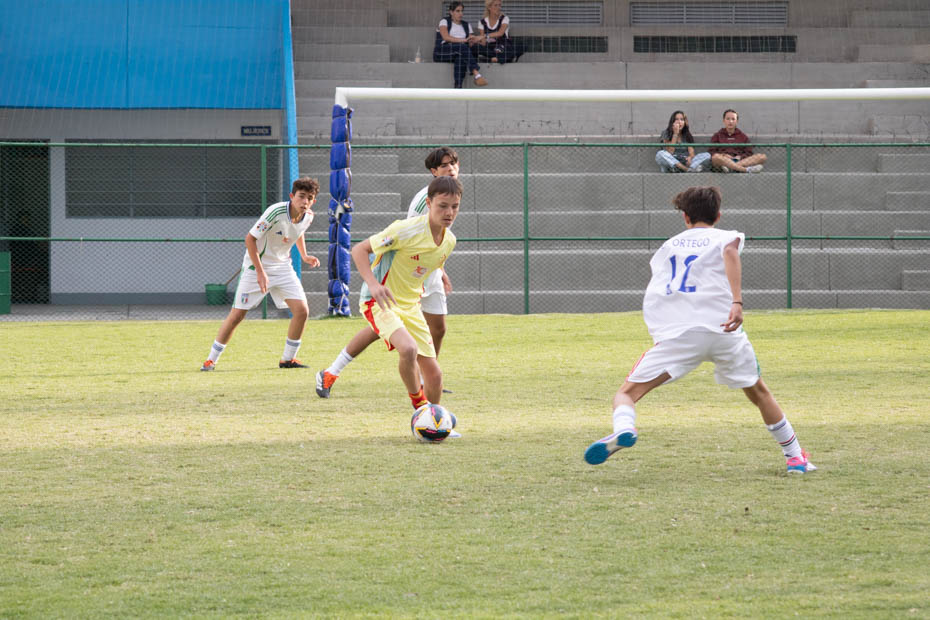 Ir a la Siguiente Foto