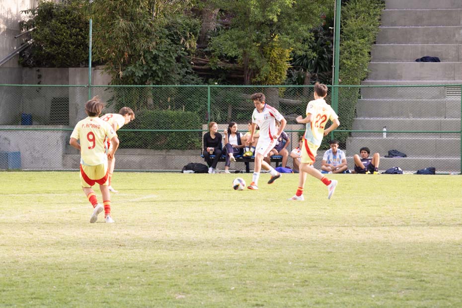 Ir a la Siguiente Foto