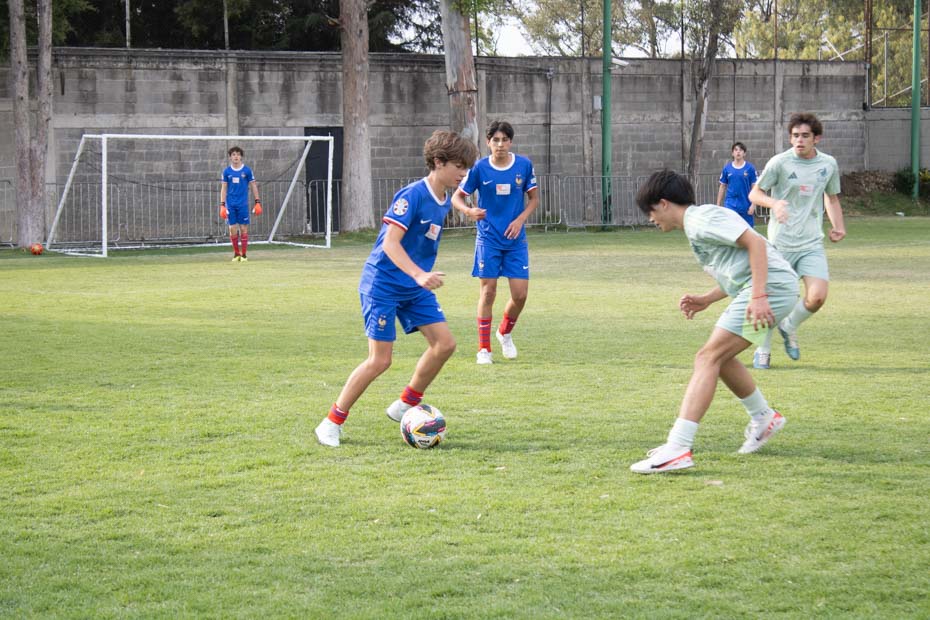 Ir a la Siguiente Foto