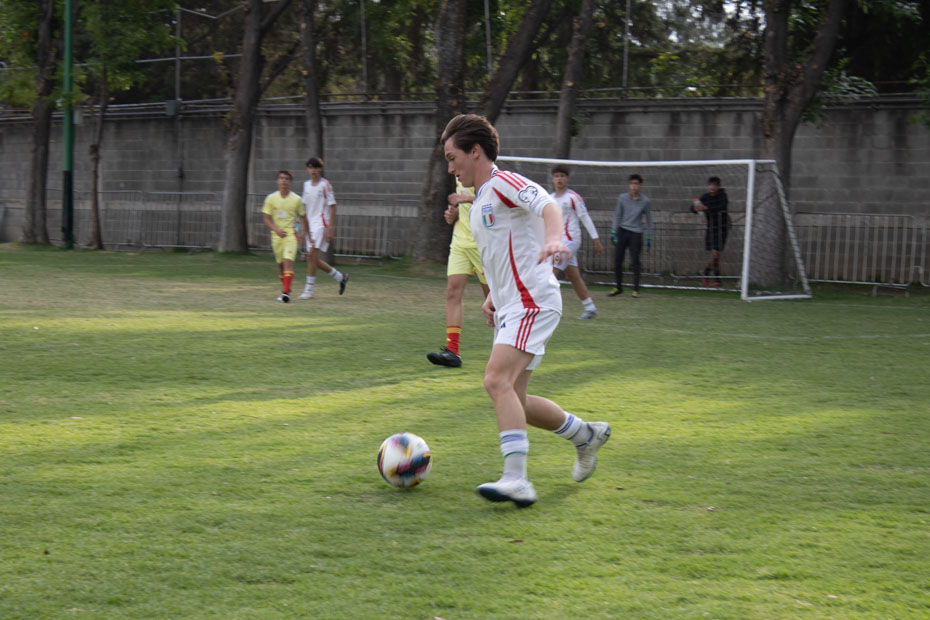 Ir a la Siguiente Foto