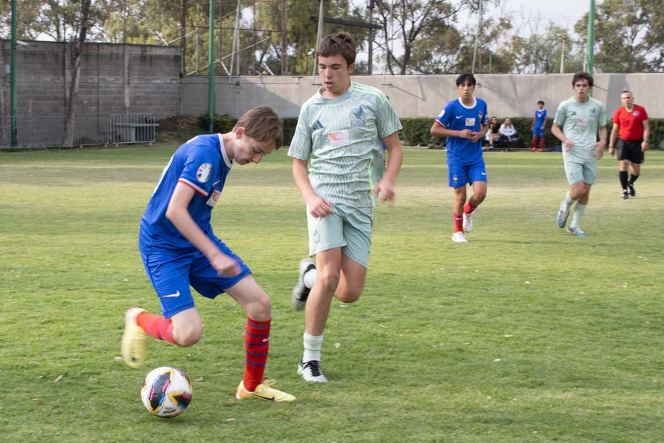 Ir a la Siguiente Foto