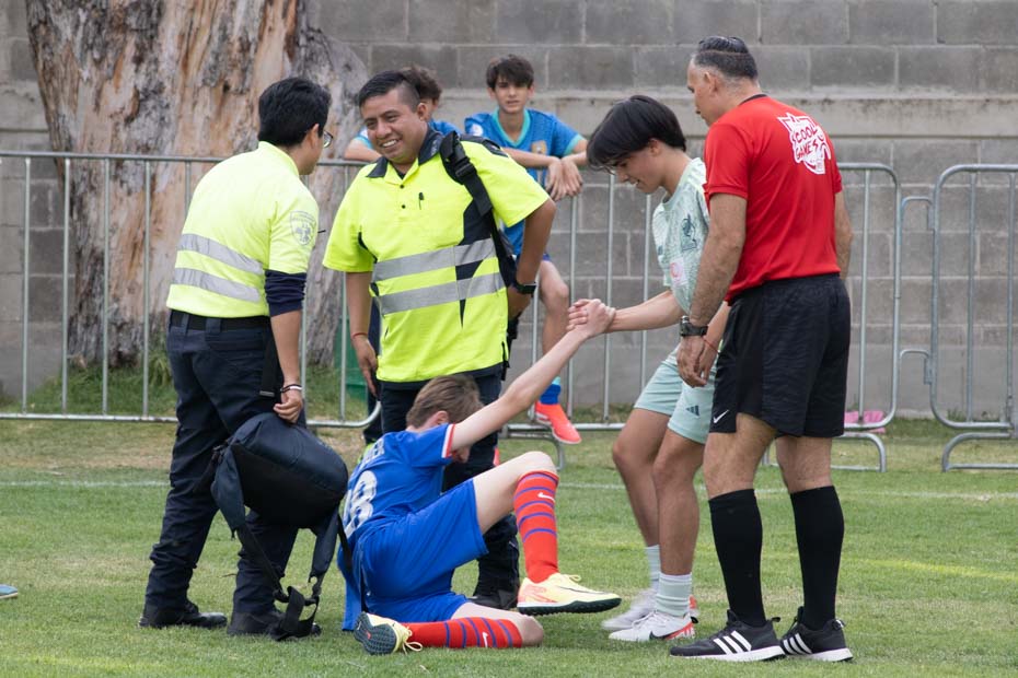 Ir a la Siguiente Foto