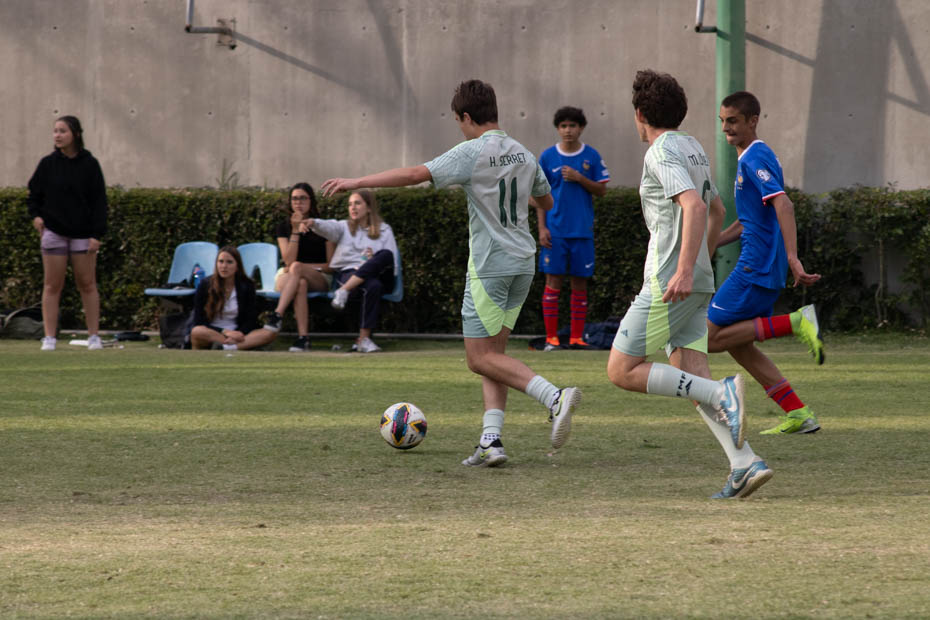 Ir a la Siguiente Foto