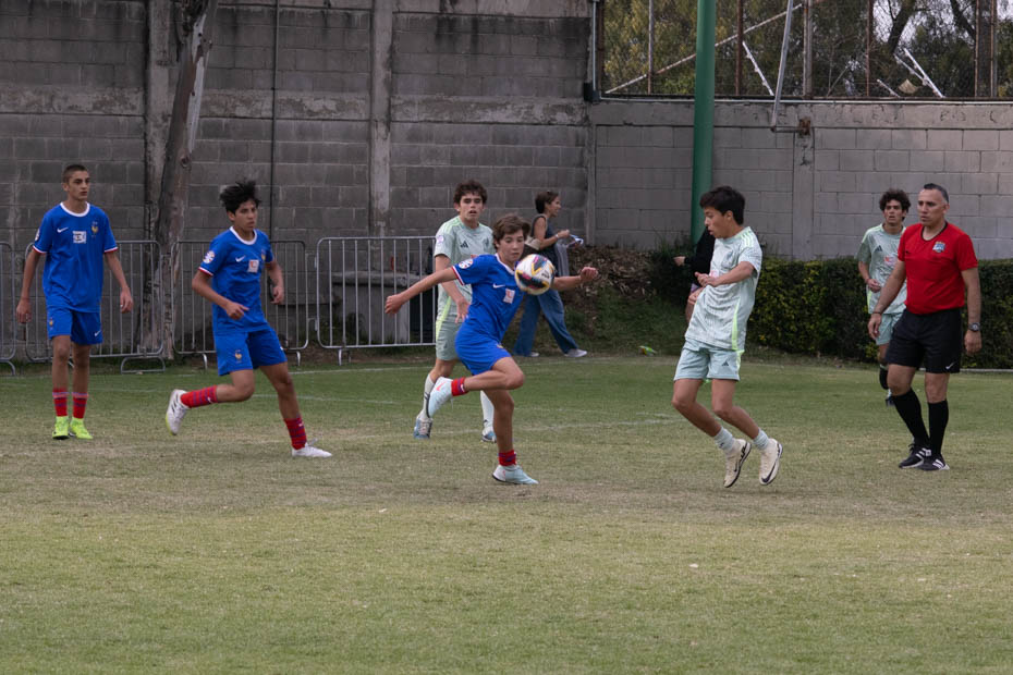 Ir a la Siguiente Foto