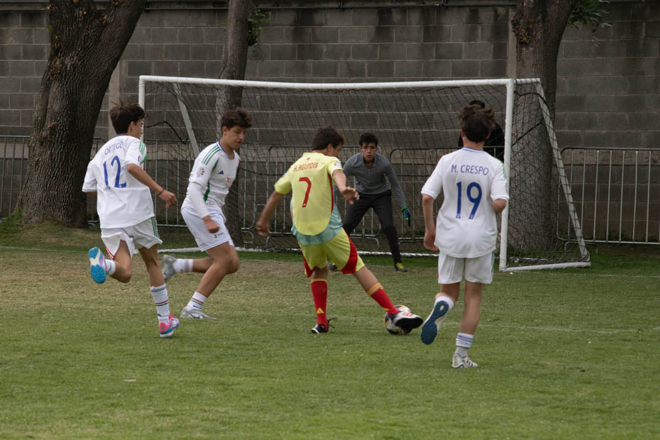Ir a la Siguiente Foto