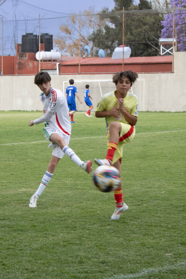 Ir a la Siguiente Foto