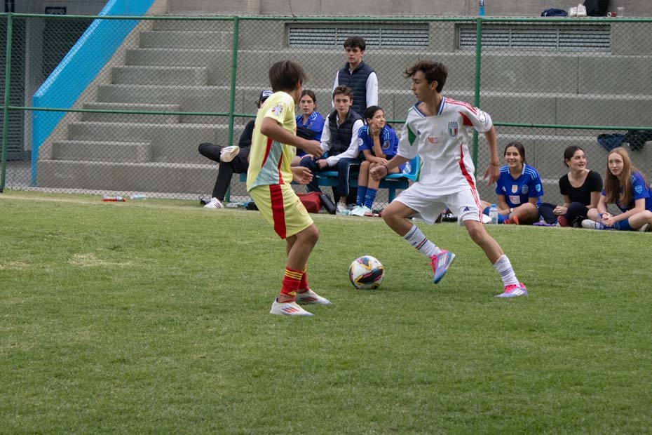 Ir a la Siguiente Foto