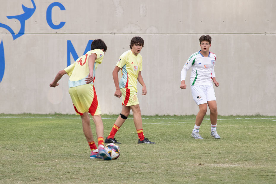 Ir a la Siguiente Foto