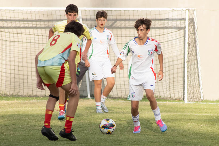 Ir a la Siguiente Foto