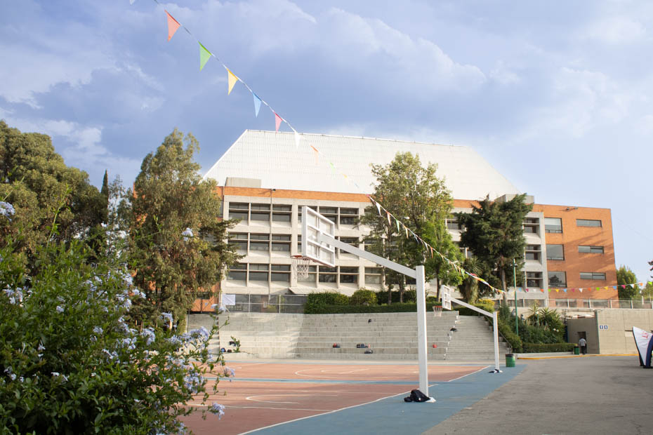 Ir a la Siguiente Foto