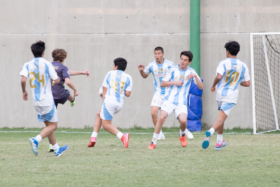 Ir a la Siguiente Foto