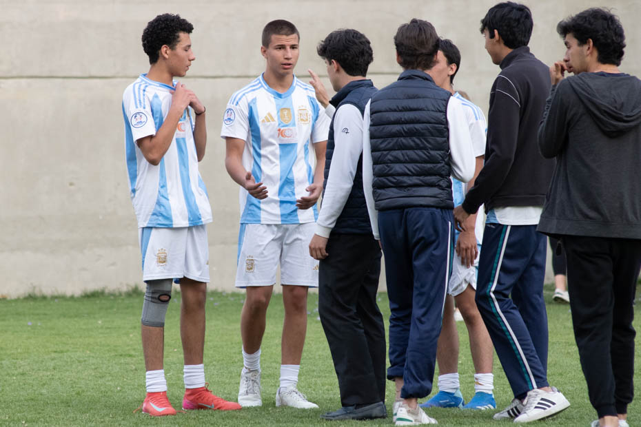 Ir a la Siguiente Foto