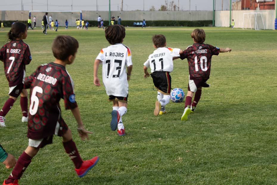 Ir a la Siguiente Foto