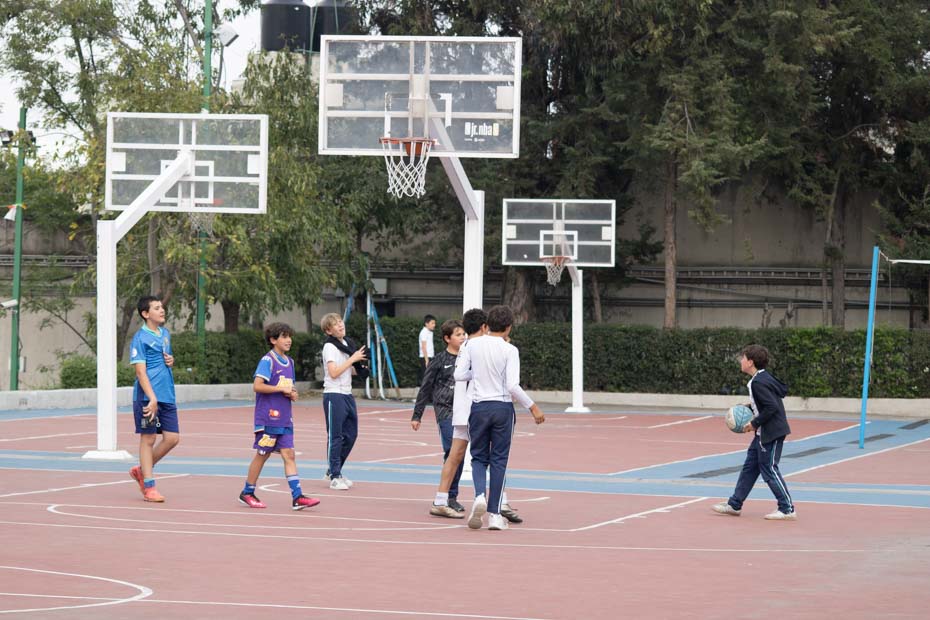 Ir a la Siguiente Foto