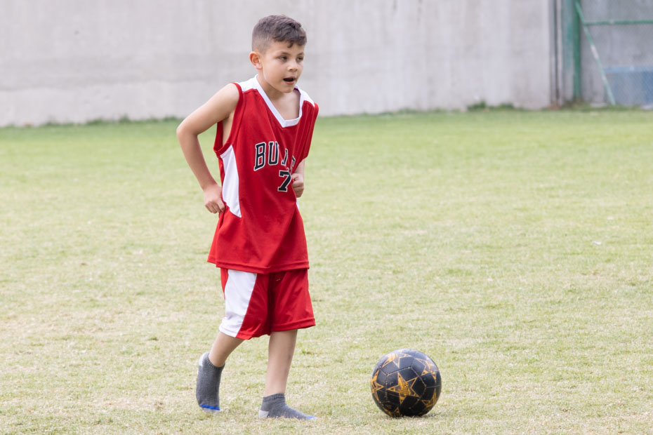 Ir a la Siguiente Foto