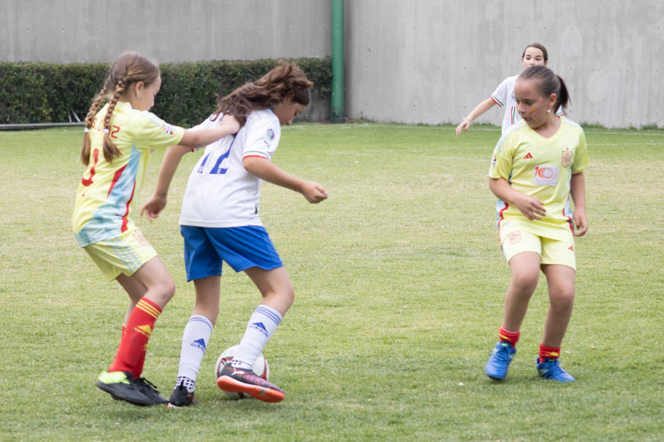 Ir a la Siguiente Foto