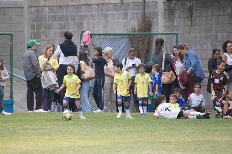 Ir a la Siguiente Foto