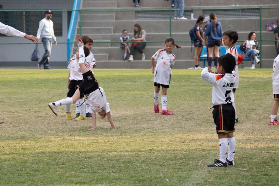 Ir a la Siguiente Foto