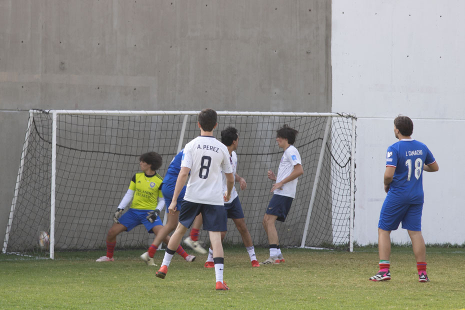 Ir a la Siguiente Foto