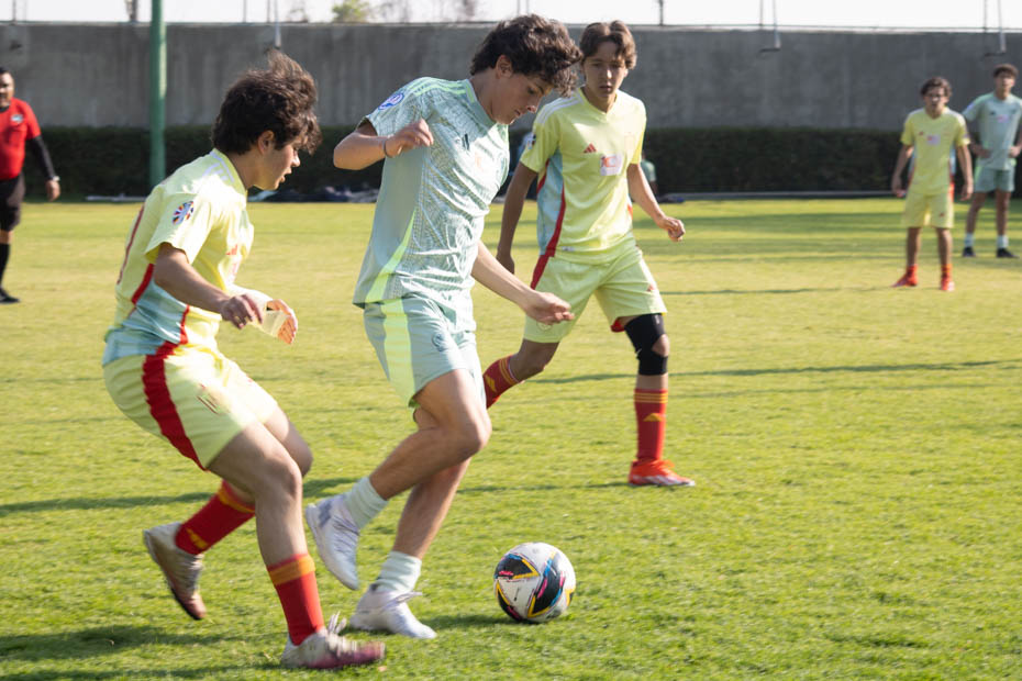 Ir a la Siguiente Foto