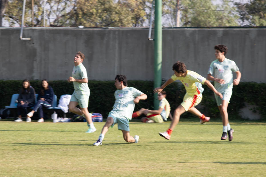 Ir a la Siguiente Foto