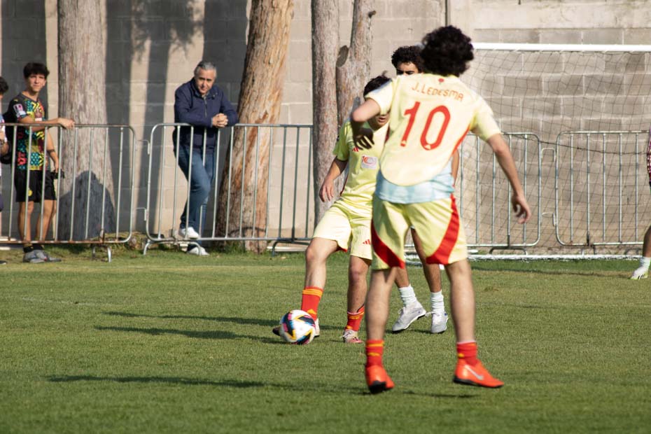 Ir a la Siguiente Foto