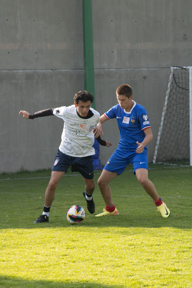 Ir a la Siguiente Foto